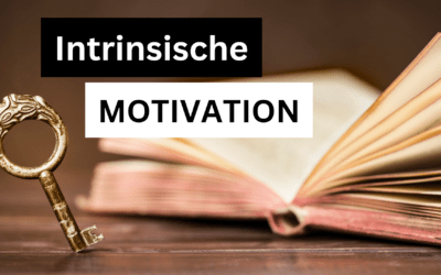 Was ist intrinsische Motivation und warum ist sie im Sidebusiness so wichtig?