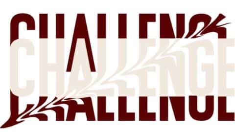 30TageChallenge vs. 1030100Regel welche Methode verspricht mehr