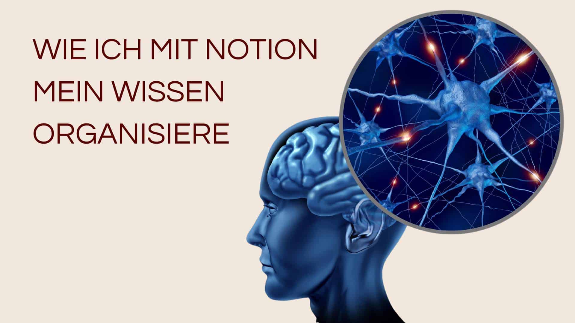 Gehirn mit neuronalen Verknüpfungen