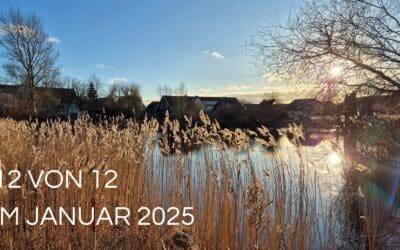 12 von 12 im Januar 2025: Ein sonniger Wintertag