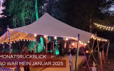 Monatsrückblick Januar 2025: Überraschung mitten im Dorf!