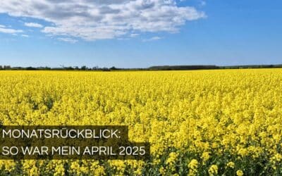 Monatsrückblick April 2025: Mein Challenge-Jubiläum