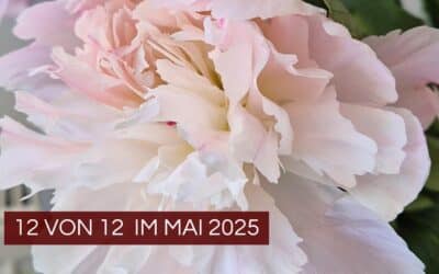 12 von 12 im Mai 2025: Ein sonniger Montag