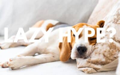 Die Wahrheit über Lazy Productivity – warum Scanner damit oft scheitern