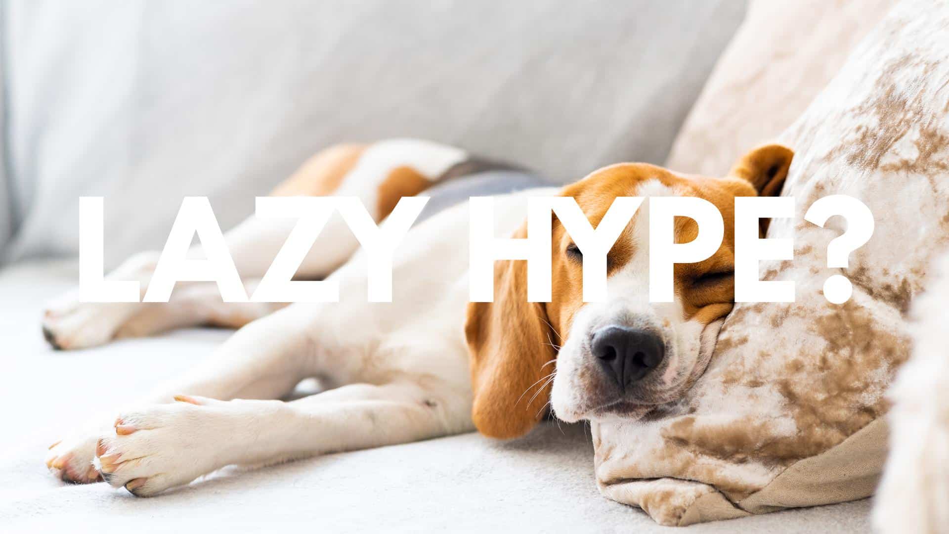 Lazy Productivity