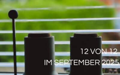 12 von 12 im September 2025: Homeoffice und Ostrockparty