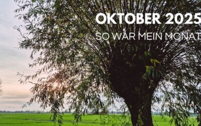 Monatsrückblick Oktober 2025: