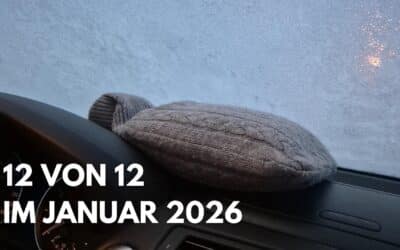 12 von 12 im Januar 2026: Tiefster Winter