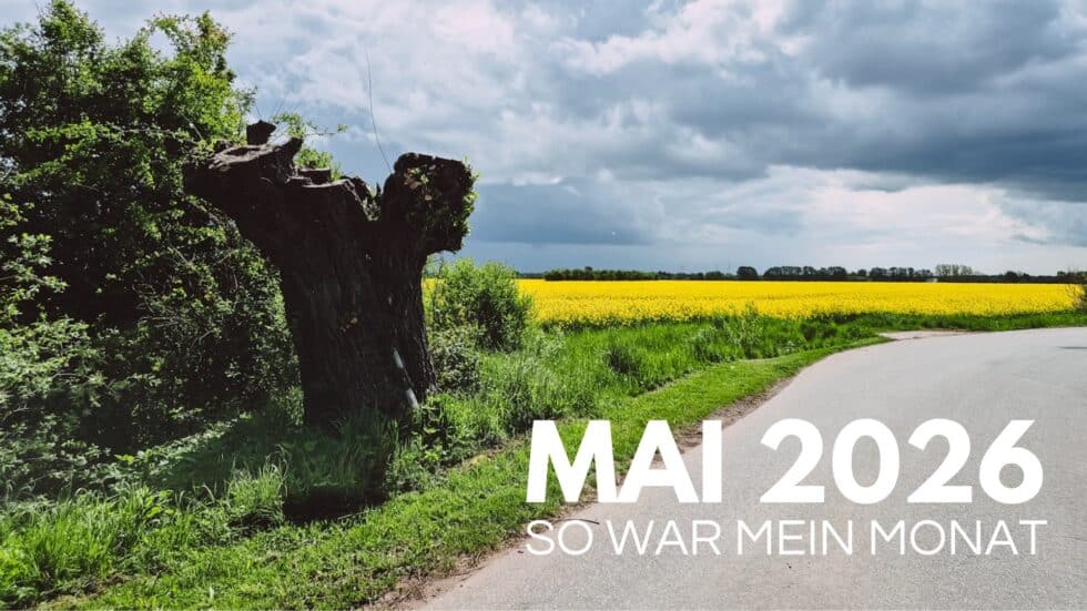 Titelbild „Mai 2026 – So war mein Monat“ mit Feldweg am Rapsfeld und altem Baumstumpf