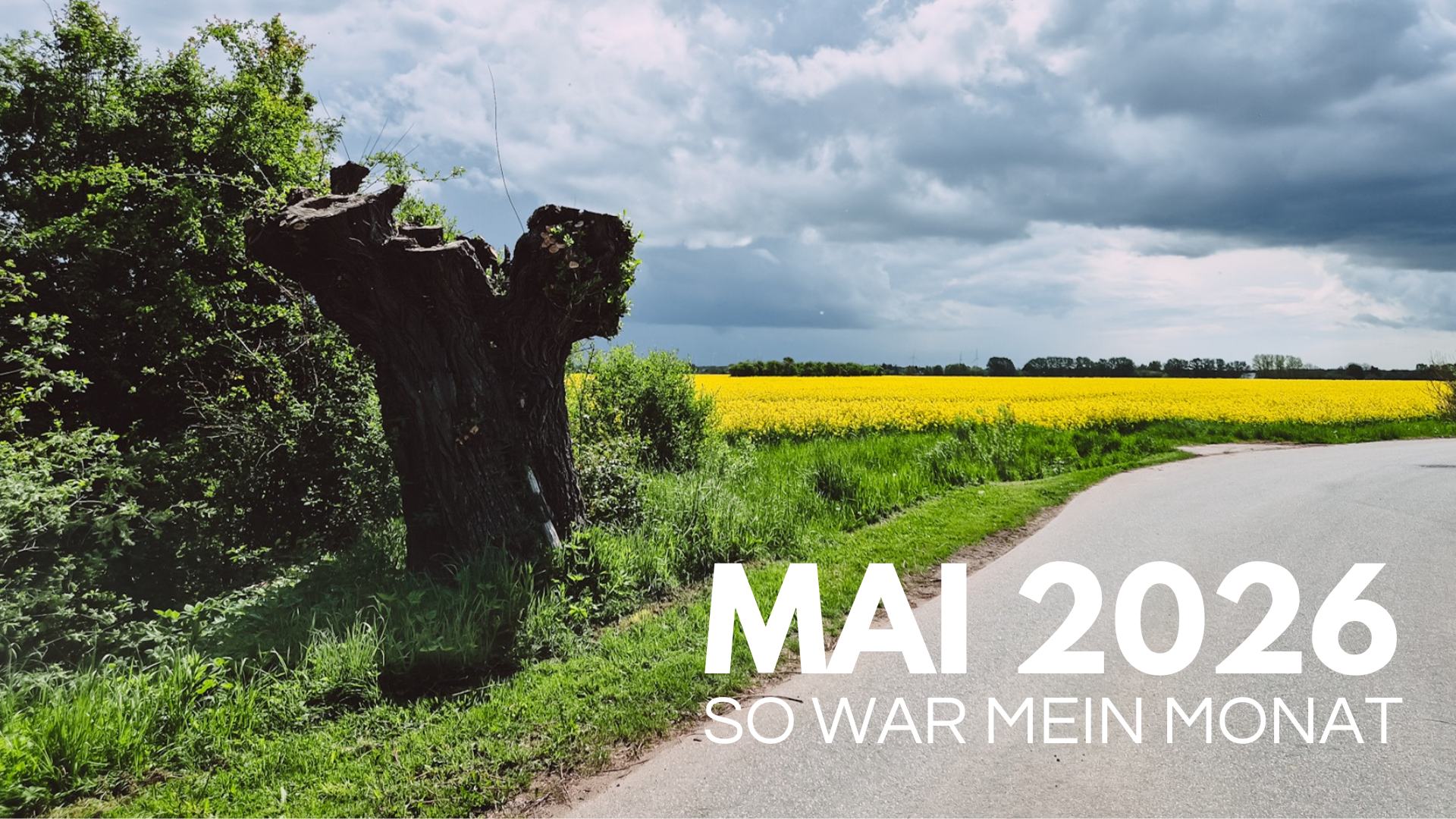 Mai 2026 So war mein Monat